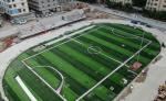 Dtex Stem Shape Artificial Football Turf For Disease Resistance