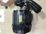 rickshaw parts 48V 850W 1000W motor