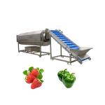 Rotary Drum Herbal Cleaning Machine for Washing 300 KG of Walnuts and Pumpkin