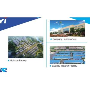 EUR Standard Disposable Windproof Gas Lighter Dy-F008 Customization Customized