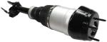 1663202513 Air Suspension Parts Air Suspension Strut