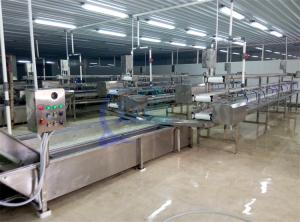 China 2.22KW SS Washing Machine For Fruit And Vegetable Processing Production Line Lettuce Cabbage Air Spray Washing Machine factory