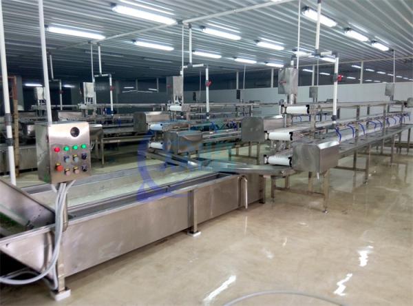 2.22KW SS Washing Machine For Fruit And Vegetable Processing Production Line