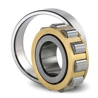 CPM 2181 Cement Mixer Truck Bearings 18x30.52x13mm Full Complement Roller