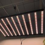 1200W 10Bar Horticulture LED Grow Light Samsung LM301B Osram 660nm 730nm