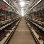 Complete H Type Automatic Layer Chicken Battery Cages 500 Birds Adela