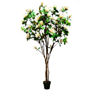 China 210cm Artificial Magnolia Tree For House Office Long Lasting Evergreen Plants factory
