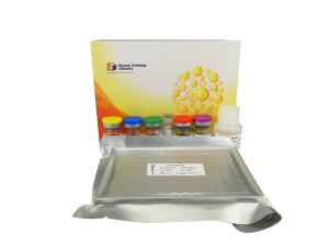 China High Sensitive Sandwich Vegf Elisa Kit 2.48ng / L Sensitivity 96 Wells factory