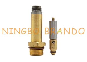 China M17 Thread LPG CNG Repair Kit 2/2 Way Normally Closed Solenoid Valve Armature factory