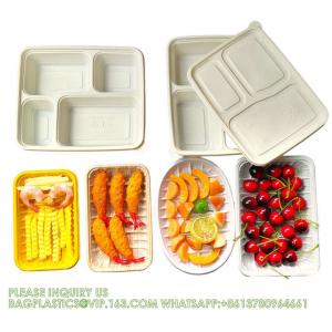 China Disposable Biodegradable Sugarcane Bagasse Pulp Food Container Take Away Lunch Box Sugar Cane Food Container factory