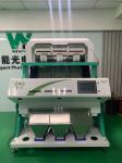 Grain Parboiled Rice Color Sorter Peanut Nuts Color Sorter Grain Color Sorter