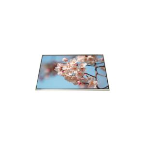 China LP173WD1-TLD1 Original in Stock 17.3 inch 1600*900 LCD Display Screen factory