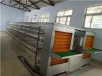 Layer Cages 3 Rows 3 Tiers 4 Tiers A Type Layer Cage Automatic Layer Cage Egg