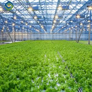 China Large Size Vertical Hydroponic Greenhouse Stable Structure Easily Assembled factory