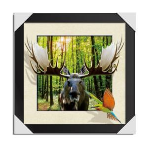 China Custom Posters 3 Dimensional Pictures 40x40 Cm Giraffe Large Size factory