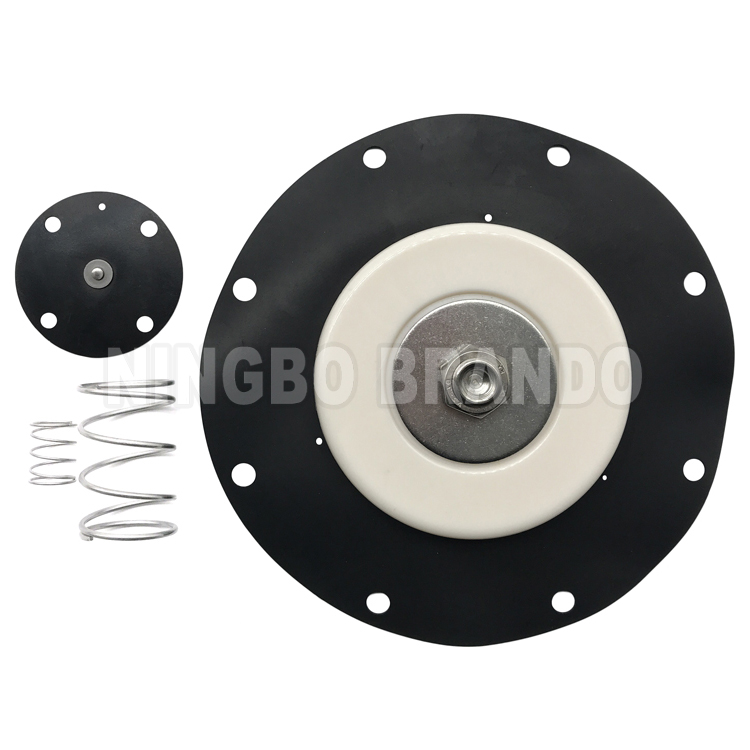 C113684 Diaphragm