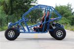 Fashionable 2 Seat Off Road Go Kart Buggy 200cc 4 Stroke Automatic Clutch