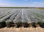 Professional Insect Mesh Netting Anti - Uv Heat Resistance For Garden