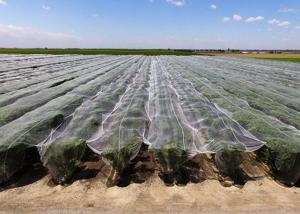 China High Temperature Stuffy Shed Insect Mesh Netting Durable 29% Shade Value factory