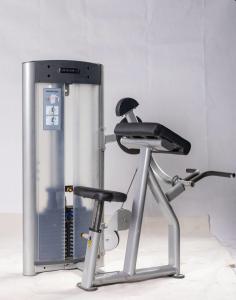 China High Quality Pin Loaded Biceps Curl Machine for Arms Strength Training and Body Building factory
