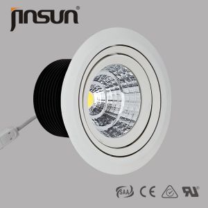 China 30W 2200Lm 3000K Warm White Citizen COB LED Downlight With TUV Certificate www dlights com factory