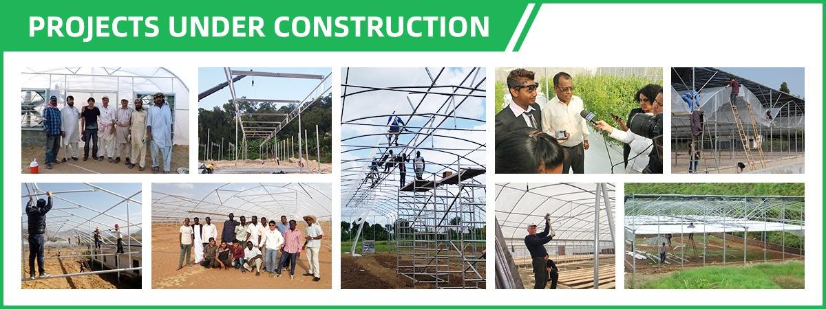 3.3m Height Metal Frame Greenhouse 300sqm Customization For Strawberry