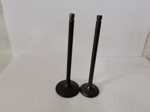 China 4210AX Car Engine Admission Valves For CITROEN C3 / PEUGEOT 208 1.5 8V factory