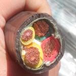 ECHU Cable 0.6/1KV Copper core PVC insulated PVC sheathed flexible power cable