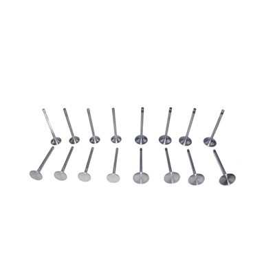 EA888 Engine Valve Kit 06D109601M 06D109611L for Audi A4 A5 VW Golf GTI Tiguan