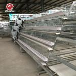 Silver Star Breeding Baby Chick Cage H Type Can Be Customized Chicken Coop