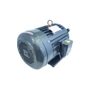 China Nema Mg1 22.40 32 Nema Premium 3 Phase Motor factory