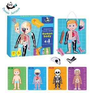 China Magnetic Jigsaw Puzzle Preschool Learning Toys , Human Body Bones And Muscles Toys Aged Over Three factory