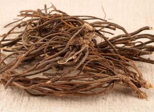 China Pungent Taste Traditional Chinese Herbs , Dried Clematis For Eliminate Rheumatism factory