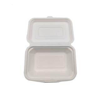 China Single Compartment Biodegradable Clamshell Box Disposable 8in 9 Inch factory