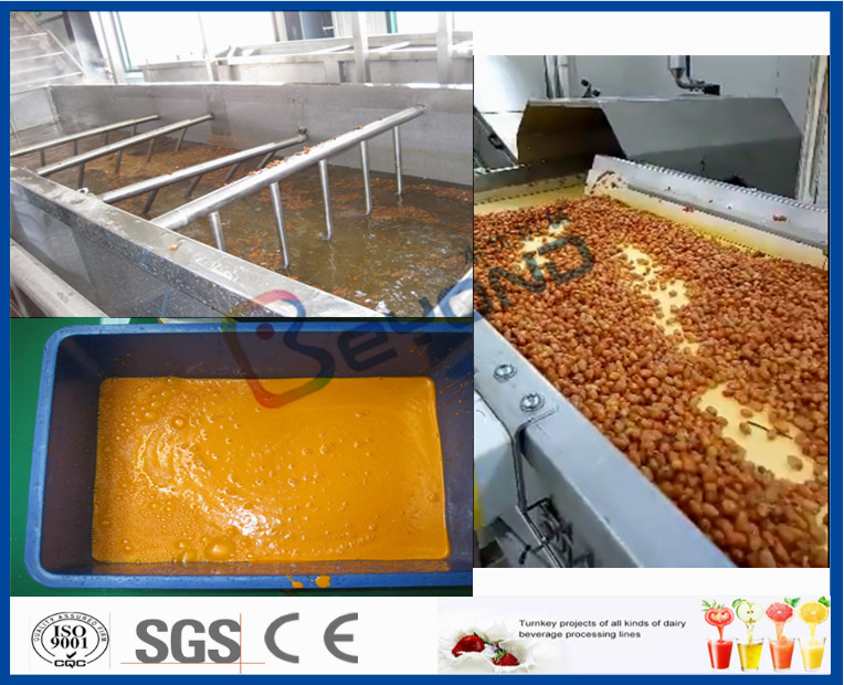 Fruit Processing Plant Juice Making Machine Orange Juice Extractor With Washing / Pulping System