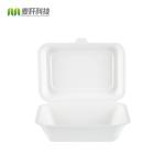 600ml sugar cane bagasse compostable takeout lunch box