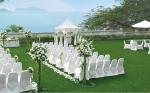 Pp Woven Bags 12000D Garden Artificial Grass Turf 1.57 Pile Height