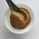 Gmp Certificate Manufacturer Fennel Seed Extract