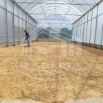 Galvanized Steel Pipe Frame Tunnel Greenhouse for Vegetables and Fruits