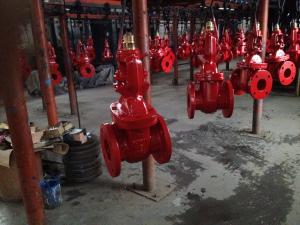 China (ANSI) Cast Iron OS&amp;Y Gate Valve factory