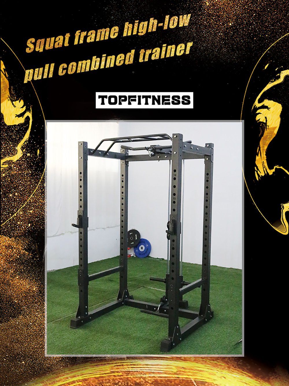 Factory Price Bodybuilding Strength Fitness Equipment Gym Weight Training Squat Rack