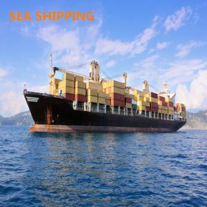 China China To USA Amazon DDP Fast Vessel FBA Freight Forwarder factory