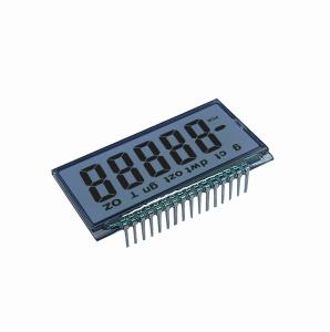 China 16pin 1.9 Inch Mono Lcd Screen Display For Sports Equipment factory