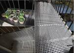Dia 8mm Expanded Metal Mesh Perforated Metal Sheet 1000*2000mm