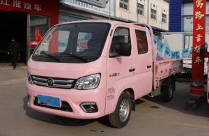 China Cargo Box Truck Foton Mini Lorry Truck Pink Color Manual Transmission Gasoline Engine Euro 6 factory