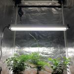 RedFarm 45w 2.5ft LED Grow Strip Light Samsung T5 T8 Replacement