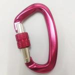 Galvanized Hardware Aerospace Aluminum D-Shaped Carabiner Essential Gear for