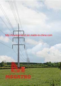 China 400KV double circuit baseline monopole factory