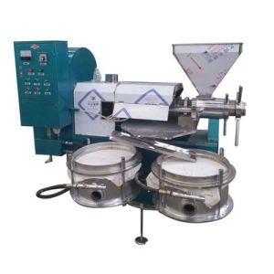 Stainless steel avocado oil press machine