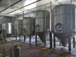 3 Phase 380V Stainless Steel Brewing Equipment Microbrewery Fermenter